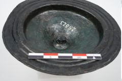 Foto von Bronzephalere (NHMW-PRAE-025823)